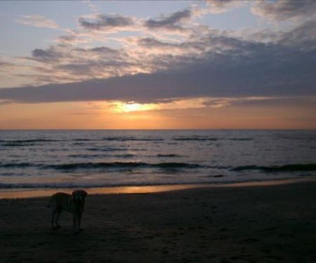 Badhotel Zeecroft Wijk aan Zee Ngoại thất bức ảnh